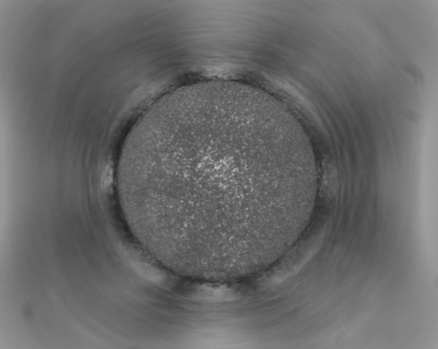 X0000112380502200909031955