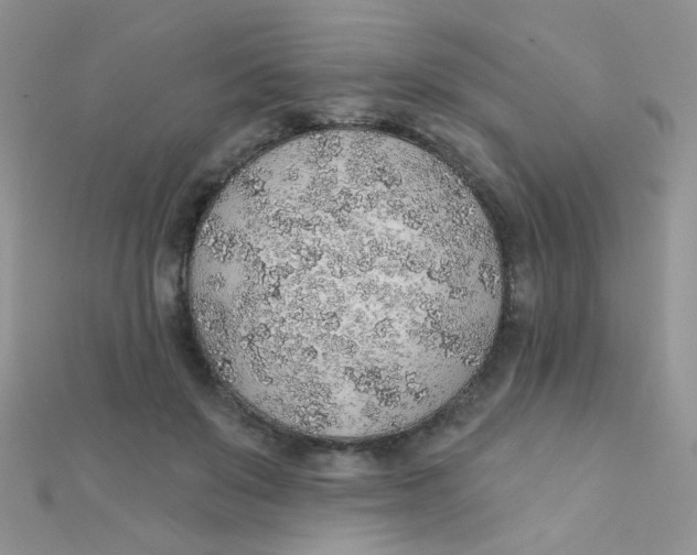 X0000112380503200909031955