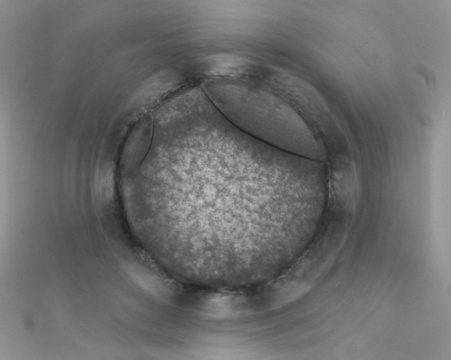 X0000112380504200909031955