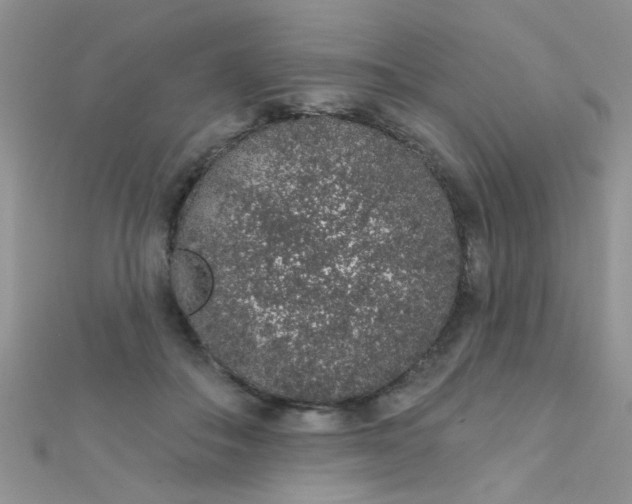 X0000112380506200909031955