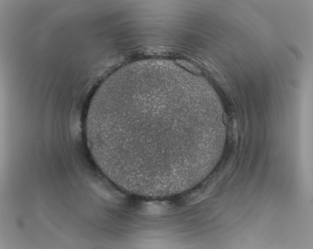 X0000112380508200909031955