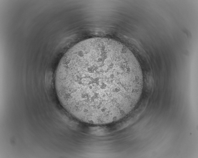 X0000112380511200909031955