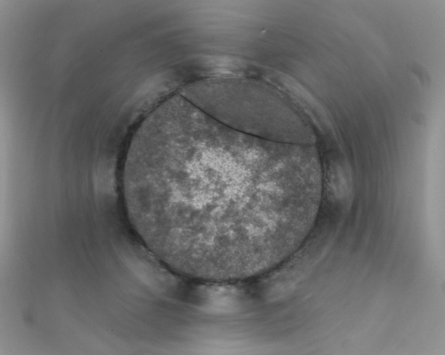 X0000112380512200909031955