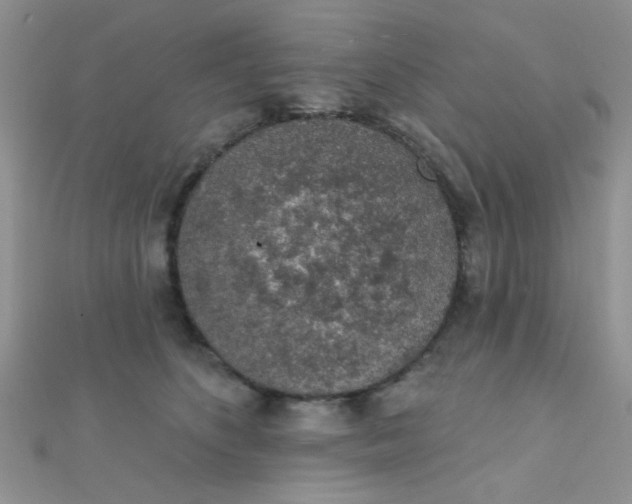 X0000112380516200909031955