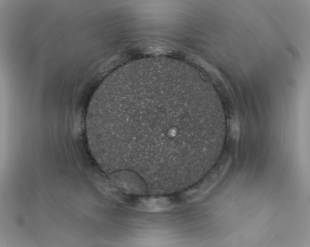 X0000112380517200909031955