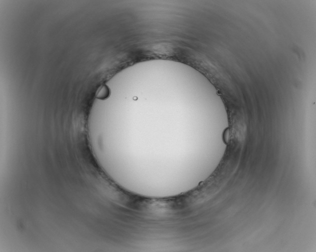 X0000112380518200909031955