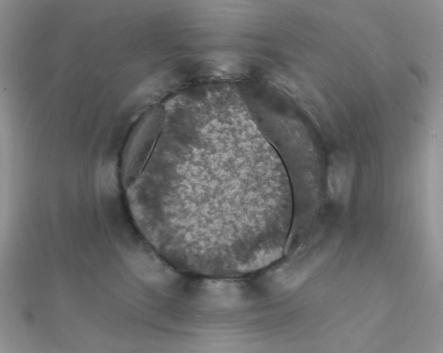 X0000112380520200909031955