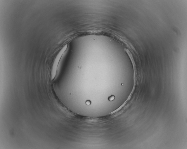 X0000112380521200909031955