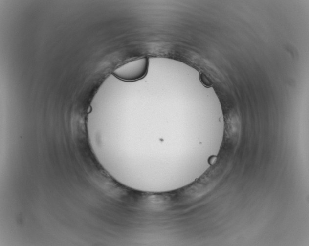 X0000112380522200909031955