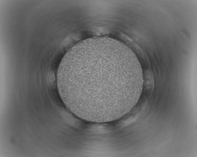 X0000112380523200909031955