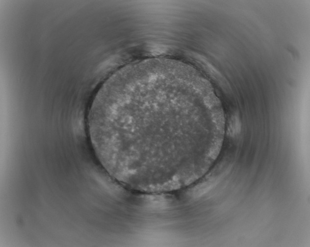 X0000112380524200909031955