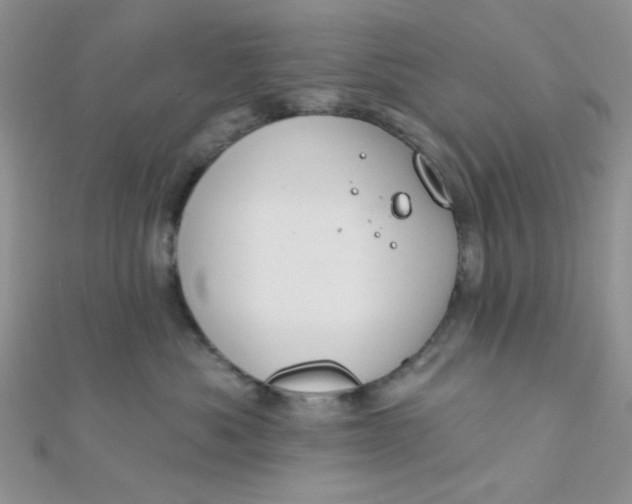 X0000112380525200909031955