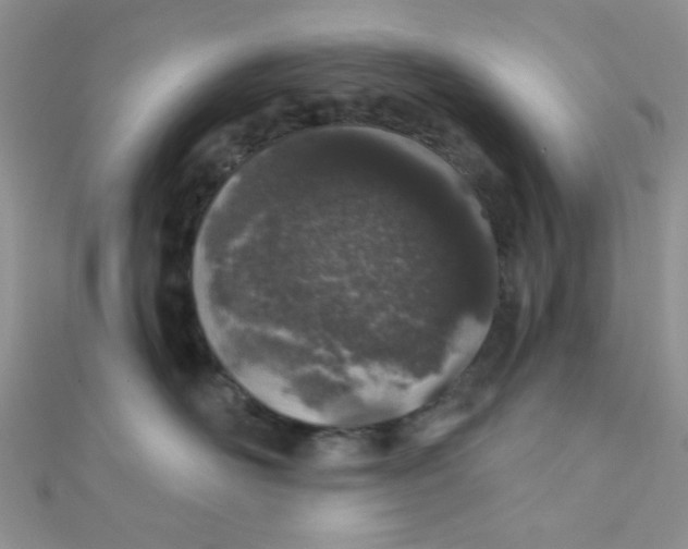 X0000112380526200909031955