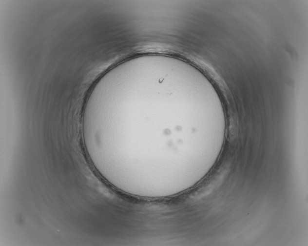 X0000112380529200909031954