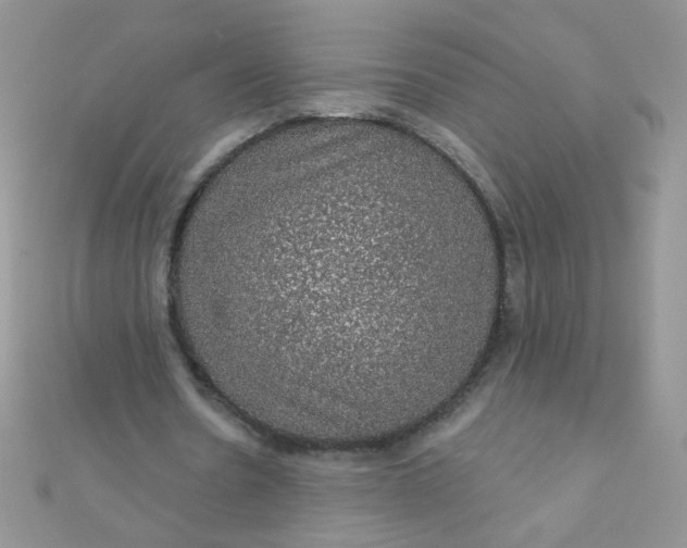 X0000112380530200909031954