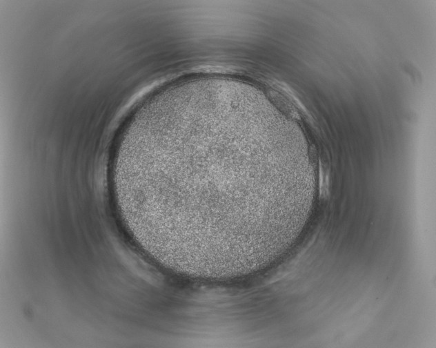 X0000112380531200909031954