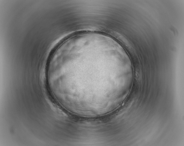 X0000112380532200909031954