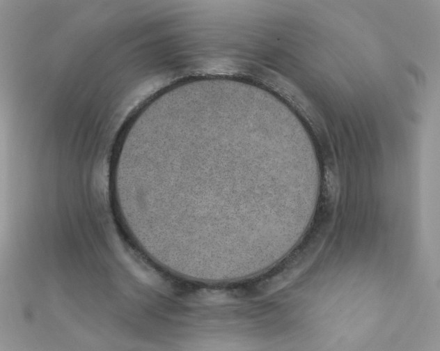 X0000112380534200909031954