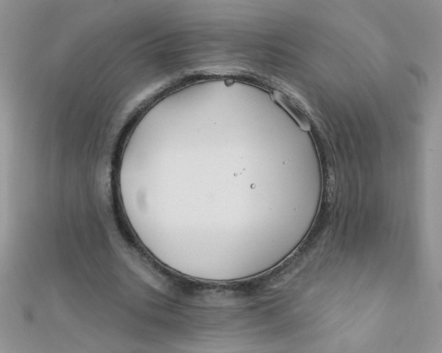 X0000112380535200909031954