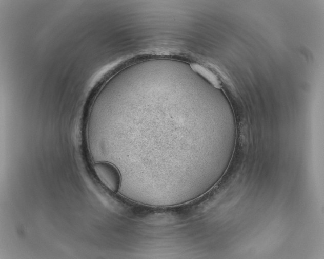 X0000112380536200909031954