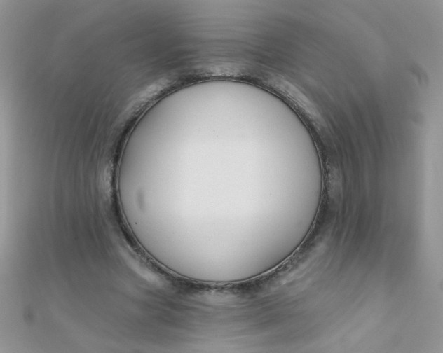 X0000112380537200909031954