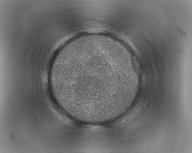 X0000112380539200909031954