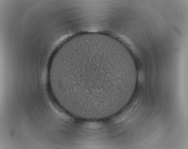 X0000112380540200909031954