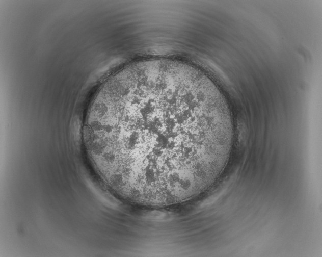 X0000112380542200909031954