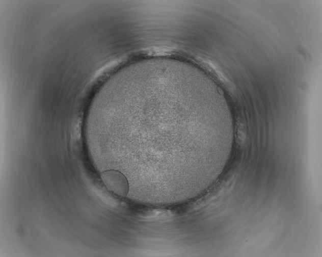 X0000112380543200909031954