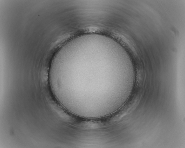 X0000112380545200909031954