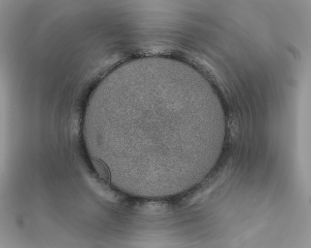 X0000112380546200909031954