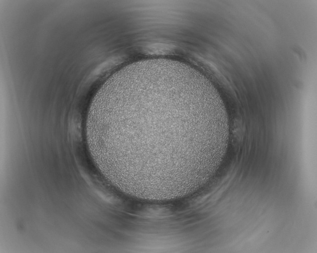 X0000112380547200909031954