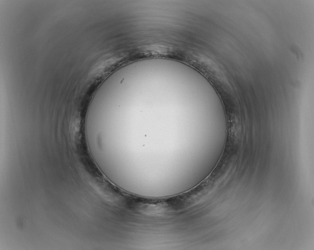 X0000112380548200909031954