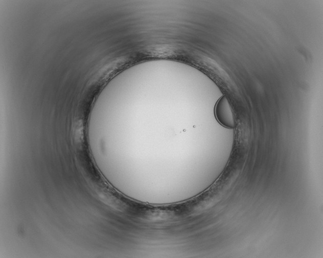 X0000112380549200909031954