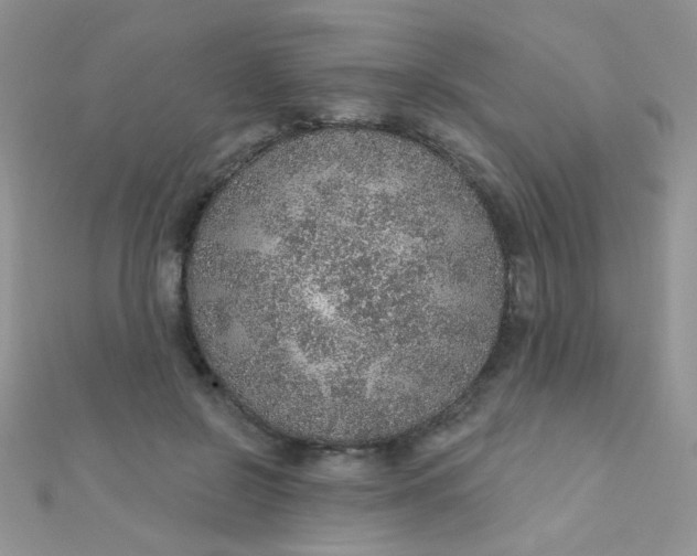 X0000112380550200909031954