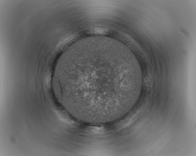 X0000112380552200909031954