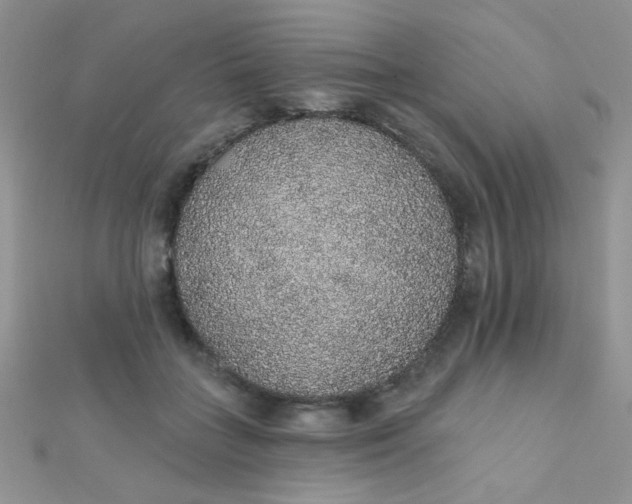 X0000112380555200909031954