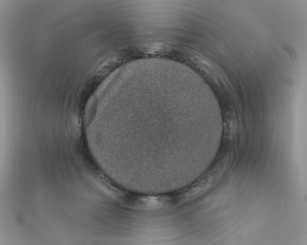 X0000112380558200909031954