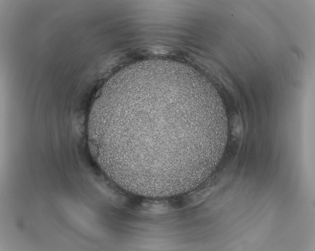 X0000112380559200909031954