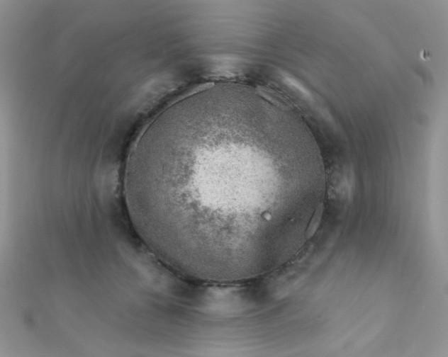 X0000112380560200909031954