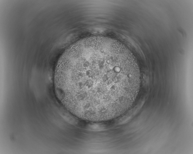 X0000112380561200909031954