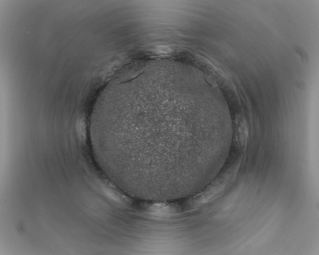 X0000112380562200909031954