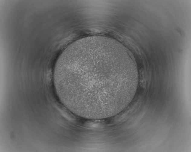 X0000112380563200909031955