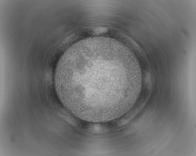 X0000112380565200909031955