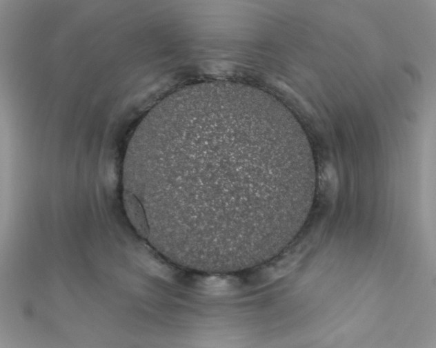 X0000112380566200909031955