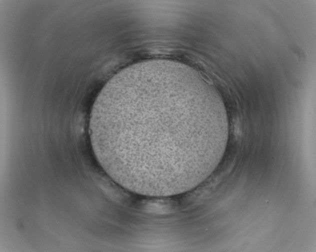 X0000112380567200909031955