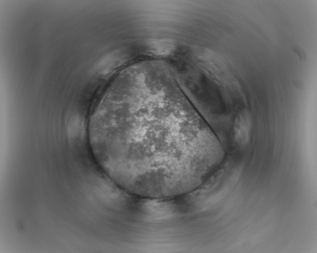 X0000112380568200909031955