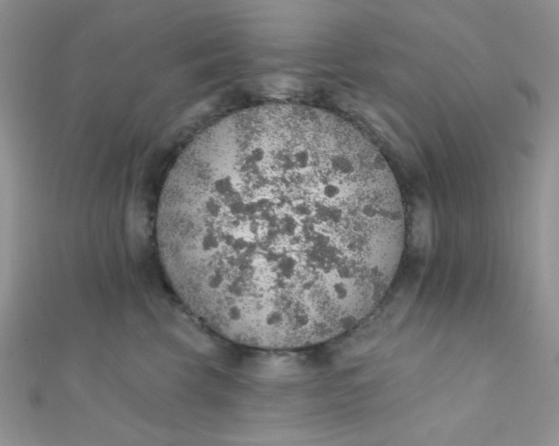 X0000112380569200909031955