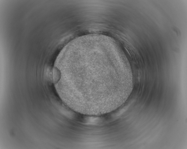 X0000112380575200909031955