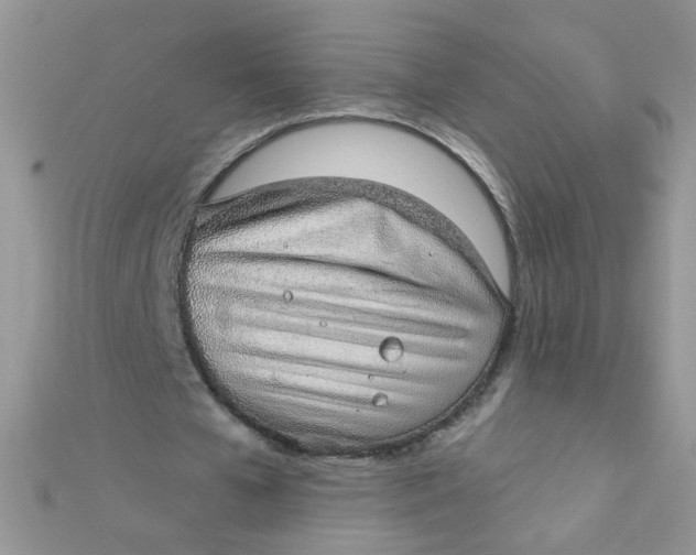 X0000112380577200909031954